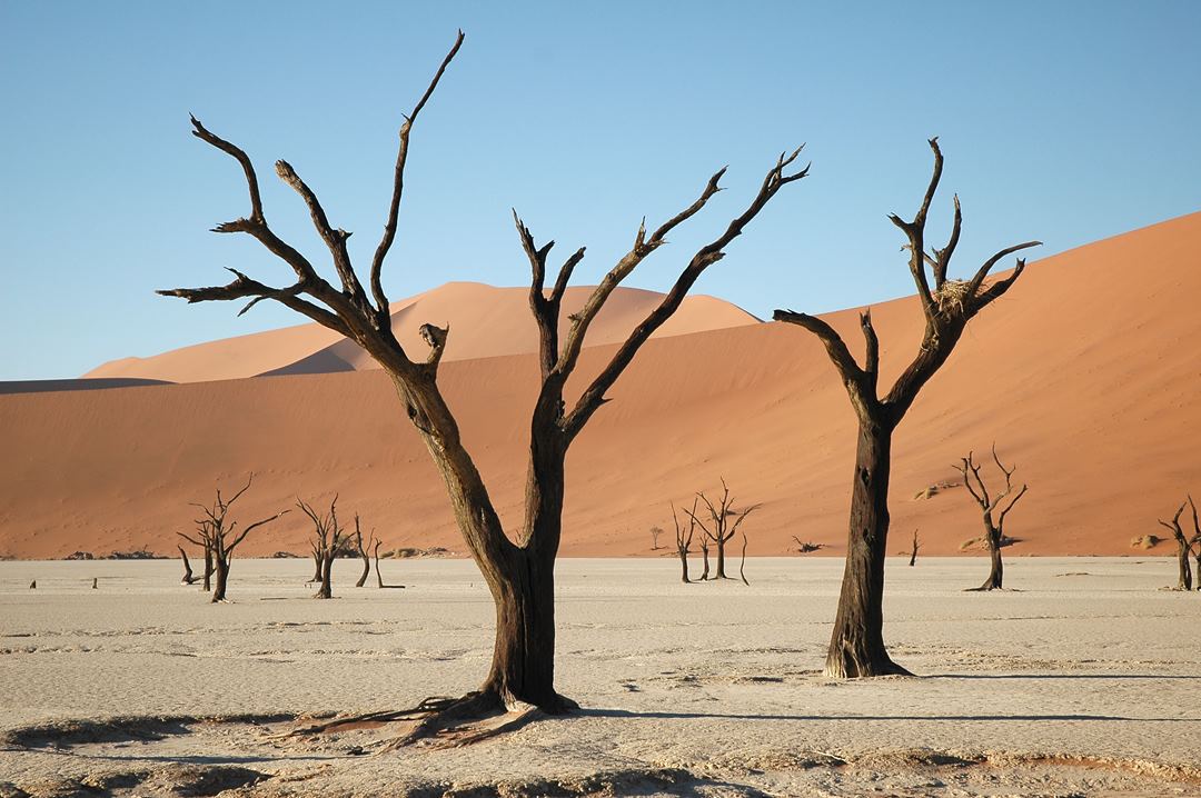 075   Namibia